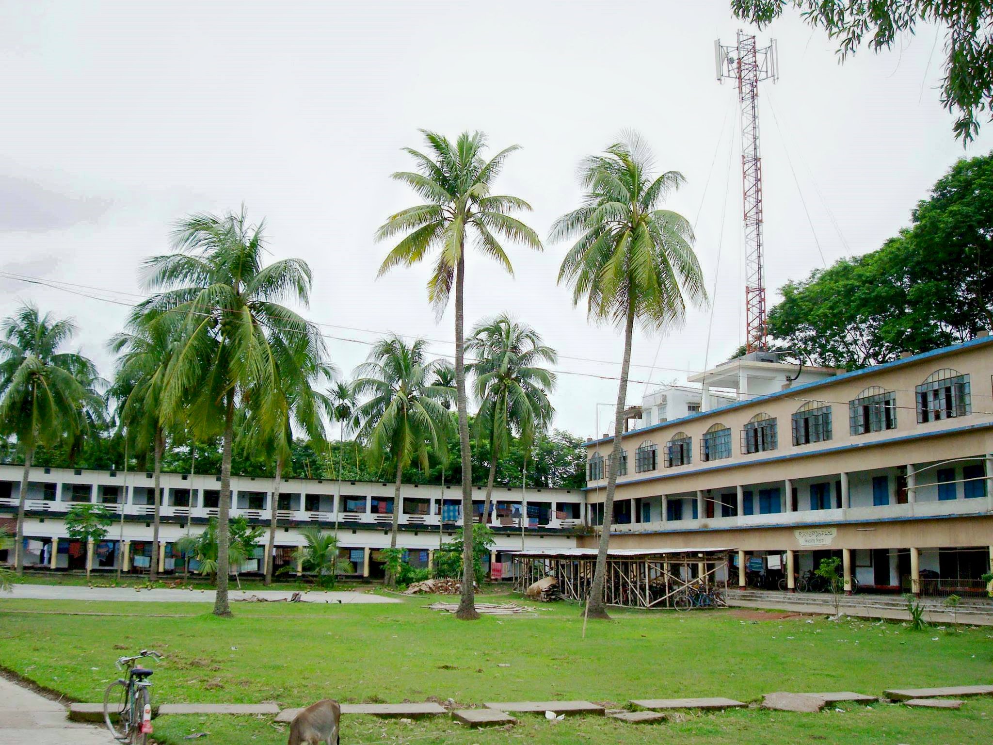 Institute History